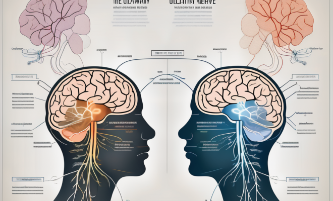 The olfactory nerve pathway